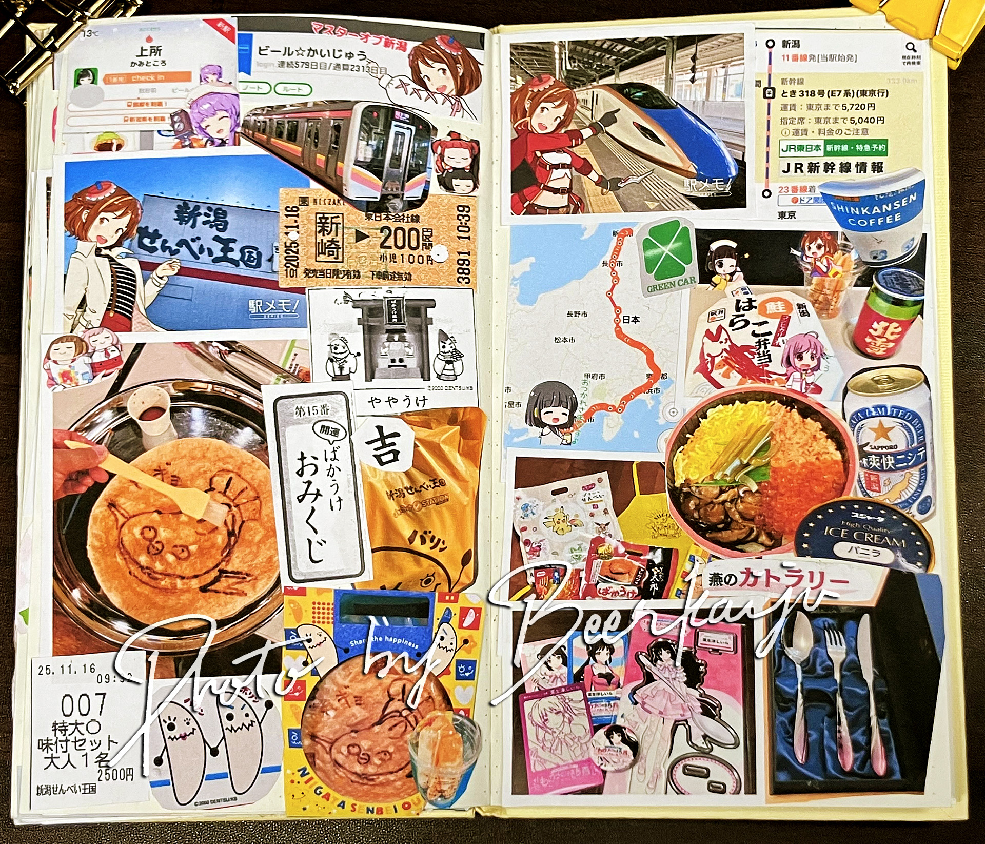 筆者が新潟せんべい王国で特大マッギョせんべいを完成させたのち、しこたまお土産を抱えて、グリーン車で飲んだくれ